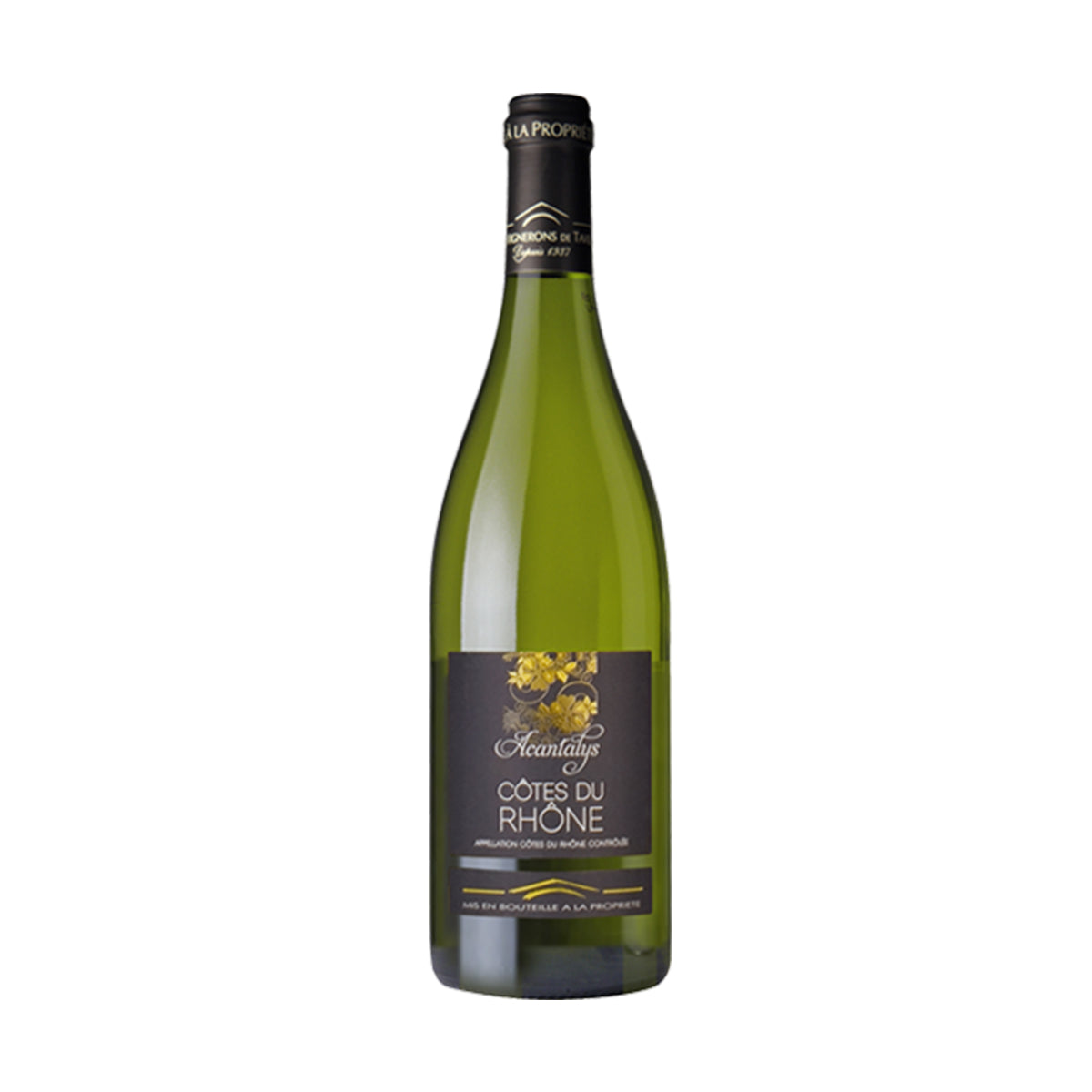 CÔTES DU RHÔNE Acantalys Blanc 2024